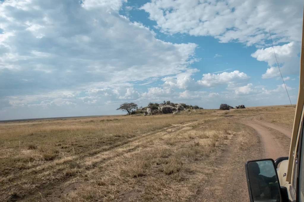 The endless plains of the Serengeti with kopjes (rocky outcrop) in the background