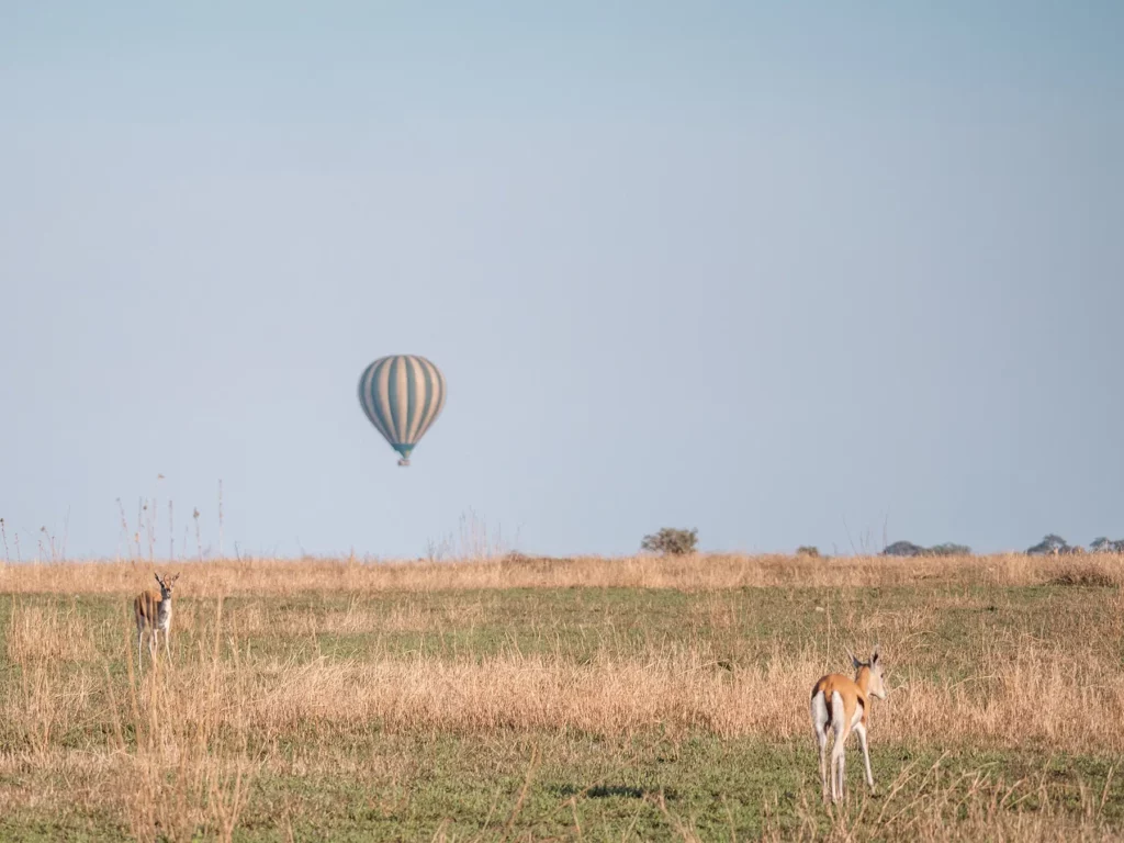 Balloon safari in the Serengeti