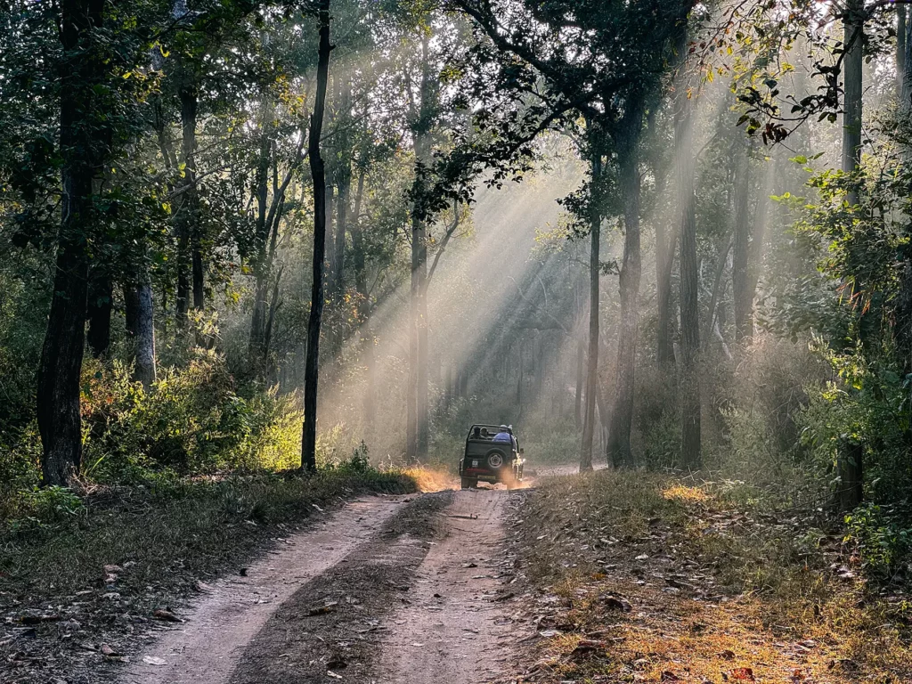 Safari truck driving through Kahna Tiger Reserve, India