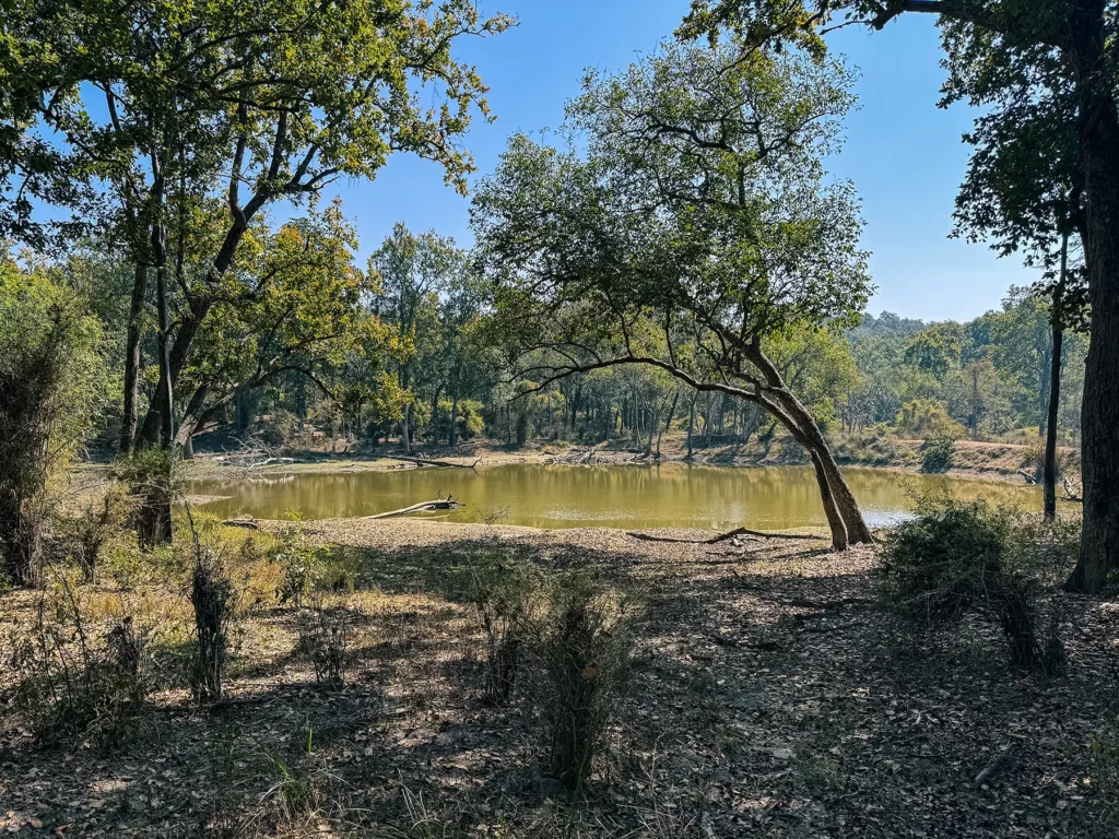 The landscape in Kahna Tiger Reserve, India in February