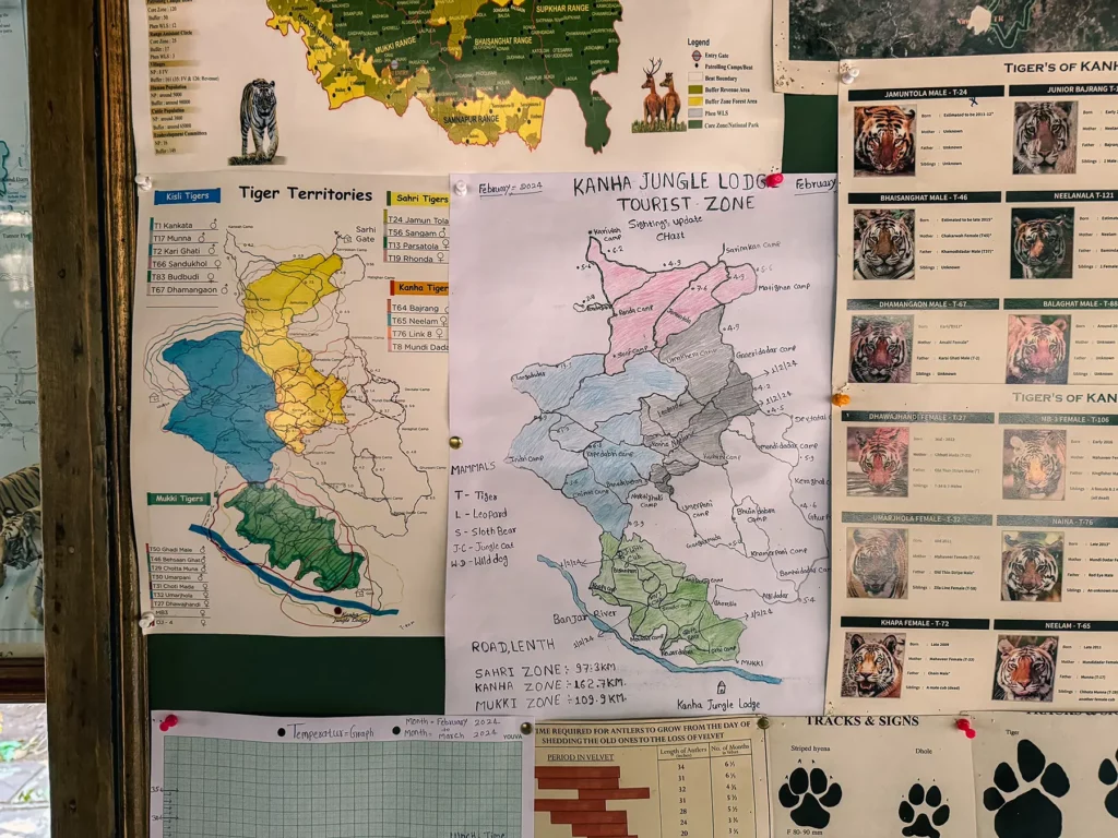 Information board at our accommodation listing all the wild tigers in the reserve