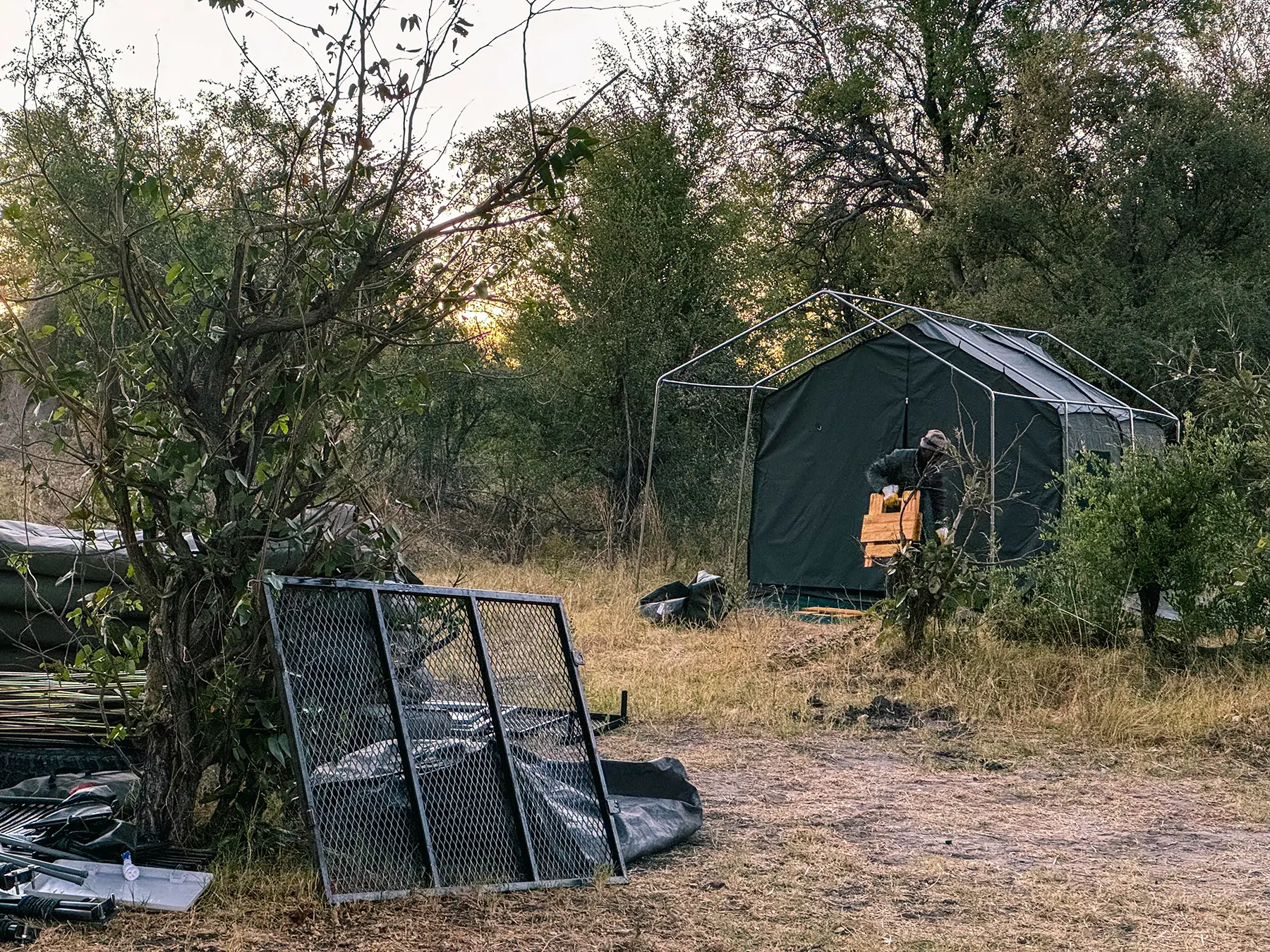 As we head out on our morning safari, the team start packed up the mobile camp ready to move it to the next location
