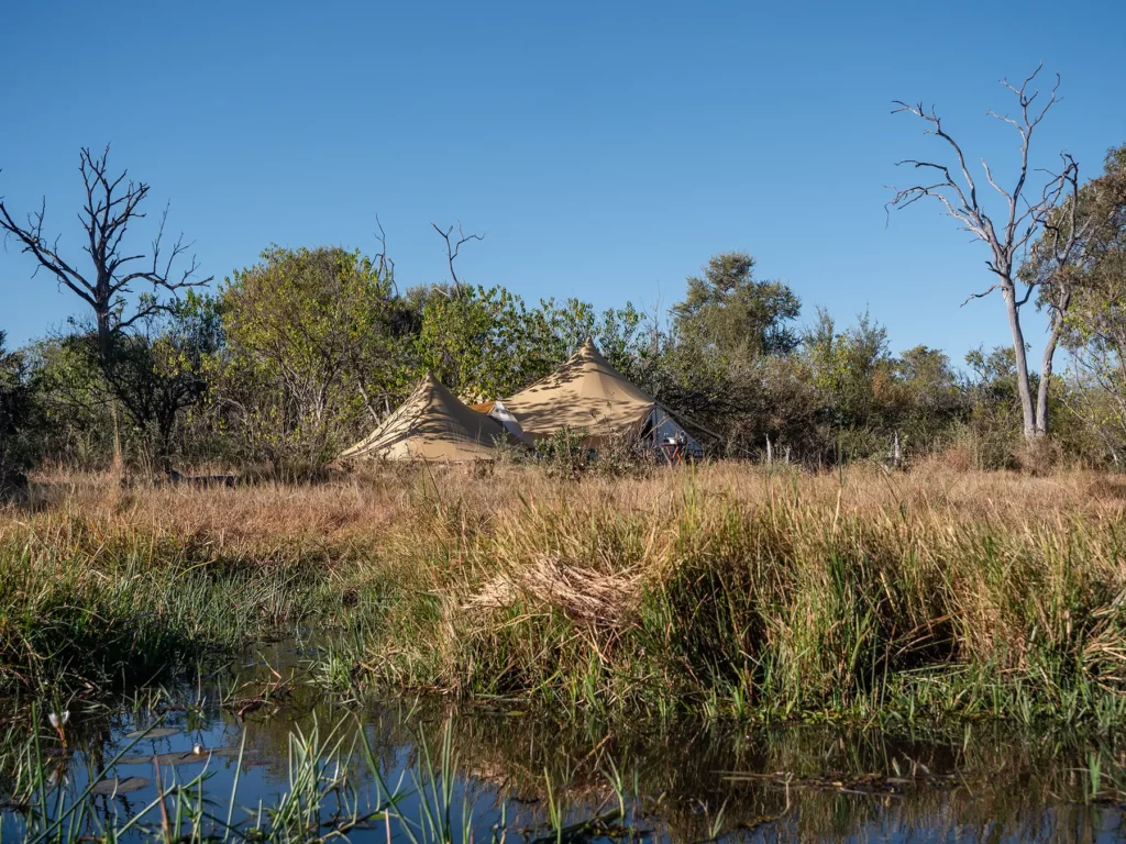 Semi-permanent tented lodge in Khwai, Botswana