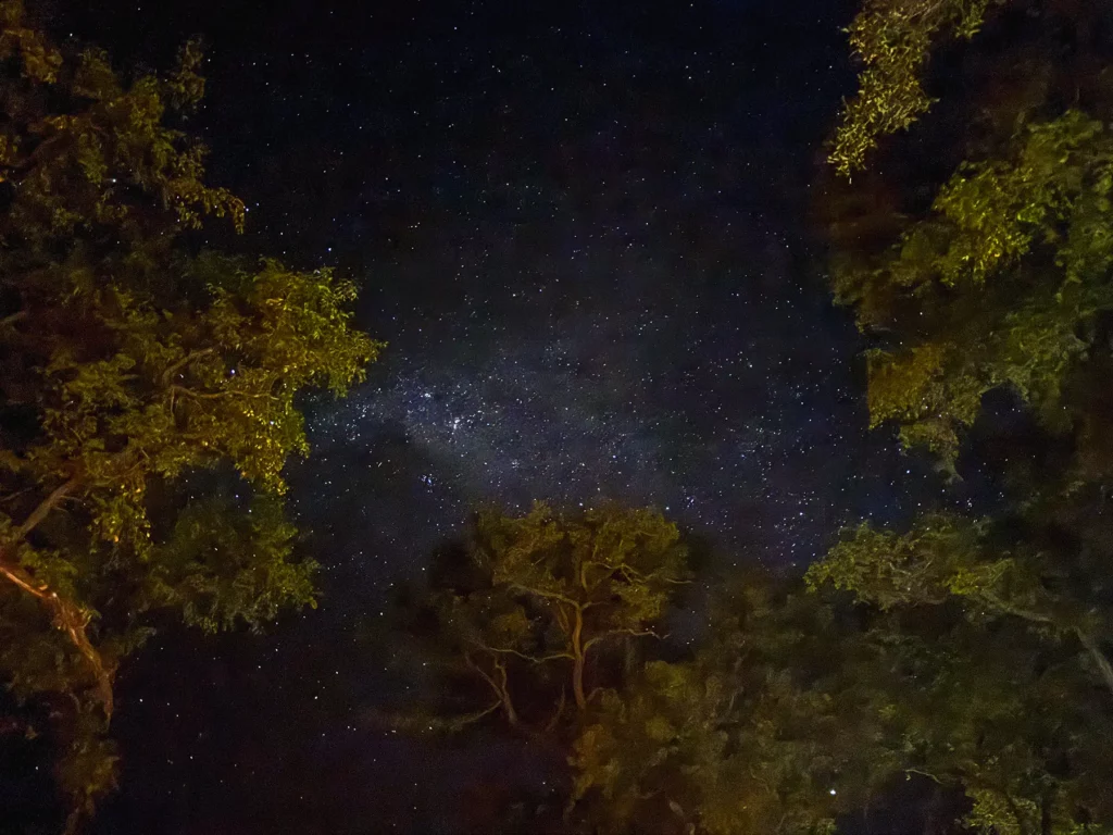 Star-covered skies in Moremi , Botswana