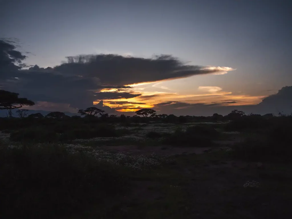 Beautiful sunset  in Amboseli National Park, Kenya