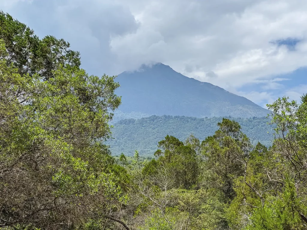 Mount Meru viewed from Arusha National Park, Tanzania