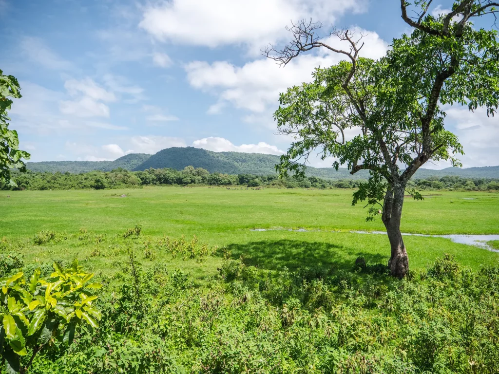 The flat plains of Little Serengeti in Arusha National Park, Tanzania