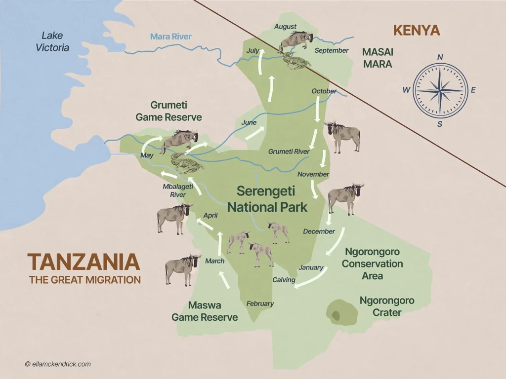 Great Wildebeest Migration Map, month by month for Kenya and Tanzania