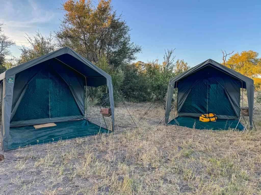 Botswana mid-range safari in luxury mobile tented camp