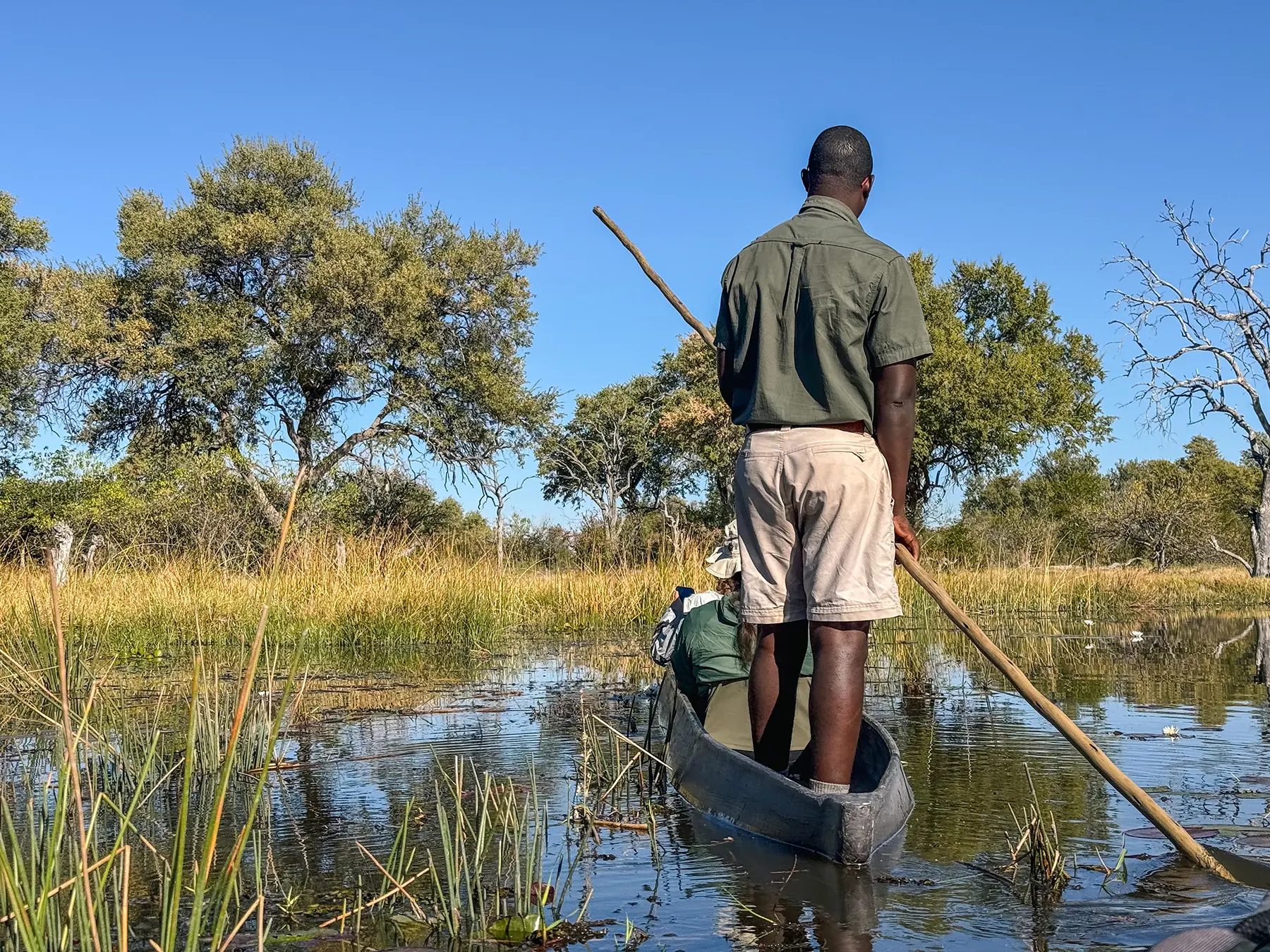 Mokoro (traditional canoe), Botswana.