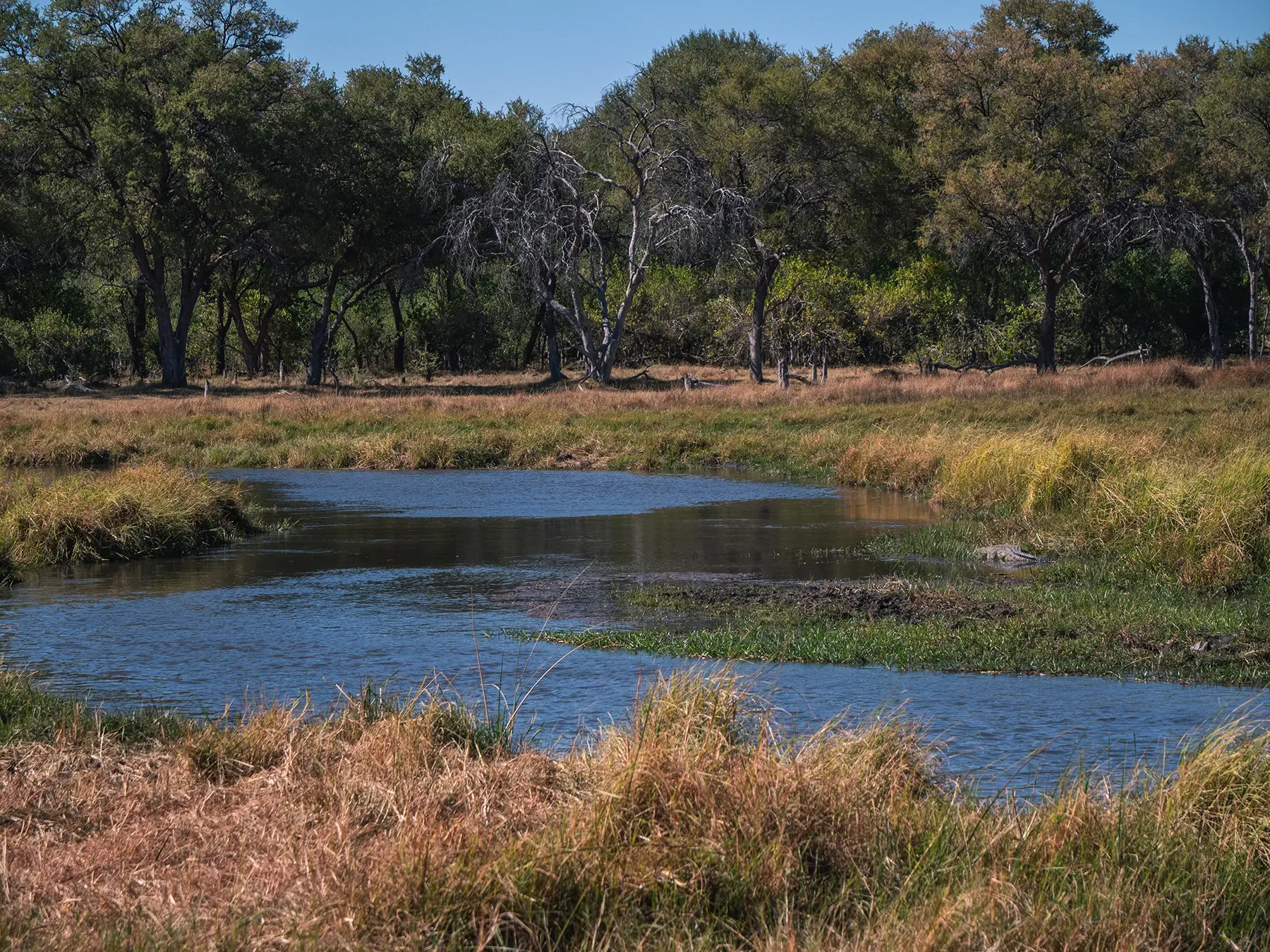 Khwai Community Area, Botswana