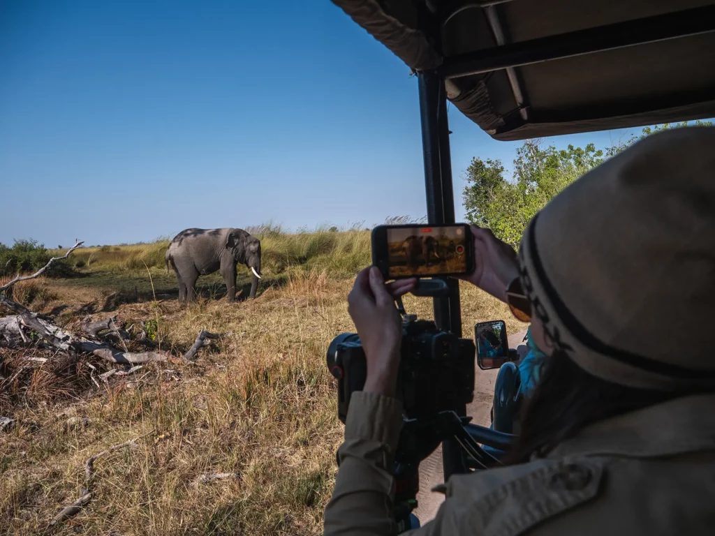 Ella Mckendrick watching Elephant drinking from water hole, Moremi Game Reserve, Botswana