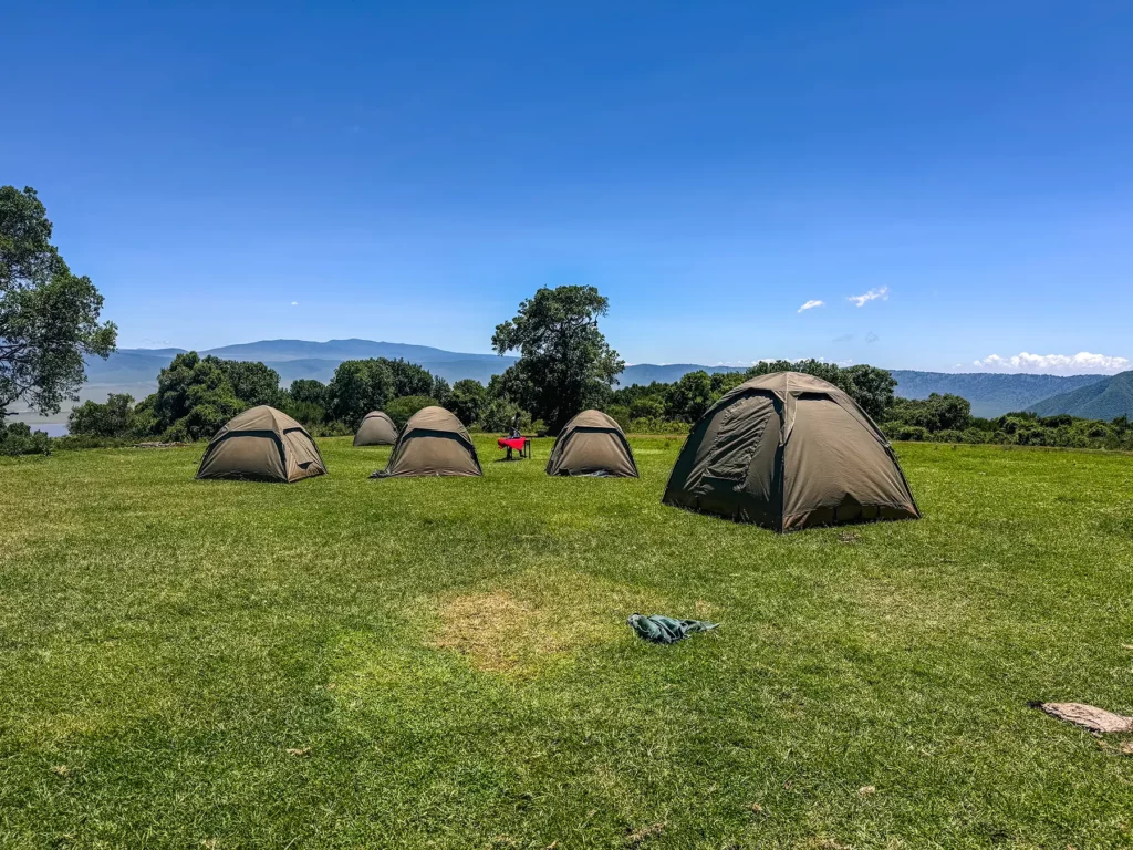 Group safaris often has basic camping accommodation in tents to keep the costs down