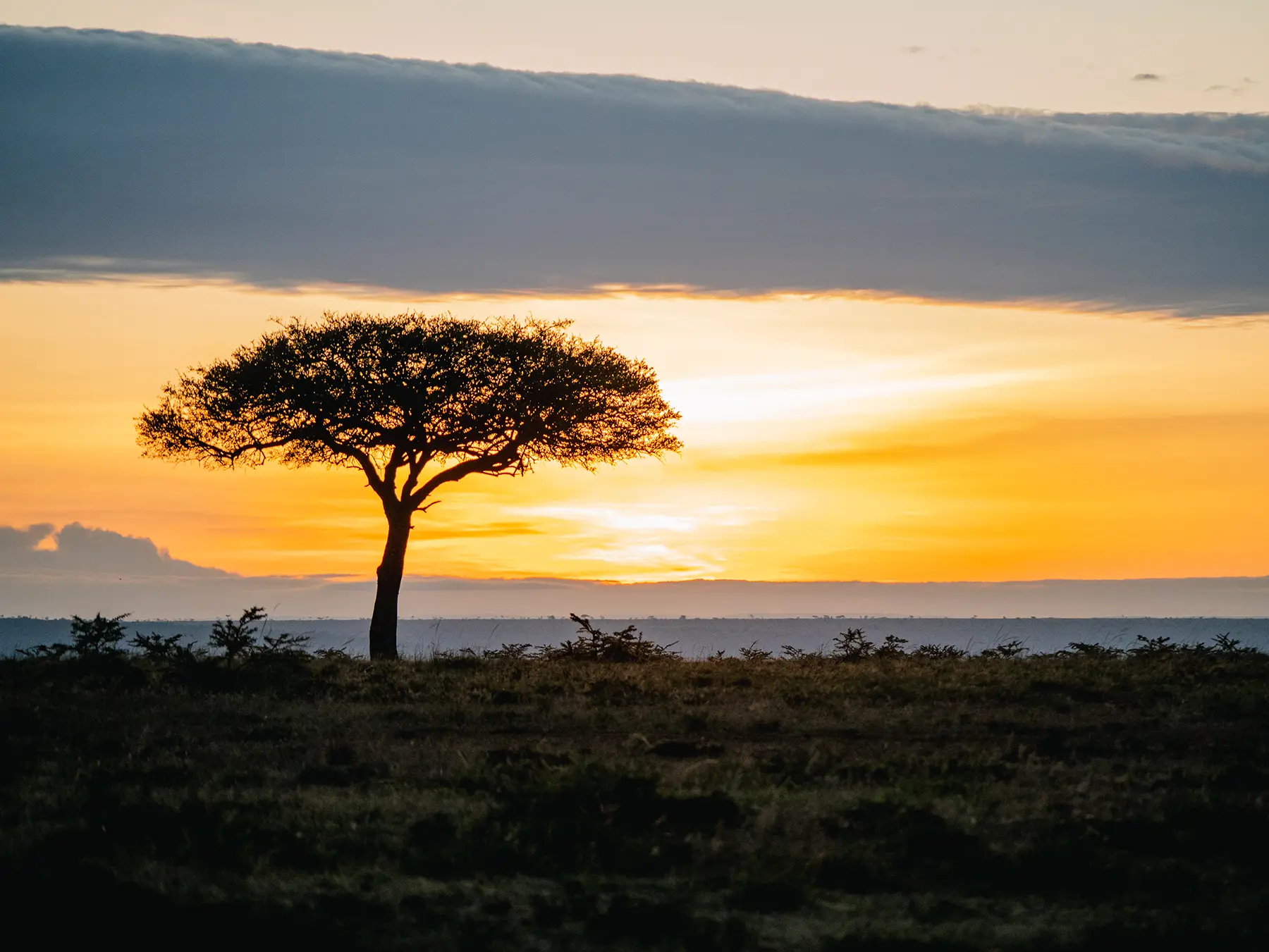 A beautiful sunset in the Maasai Mara, Kenya