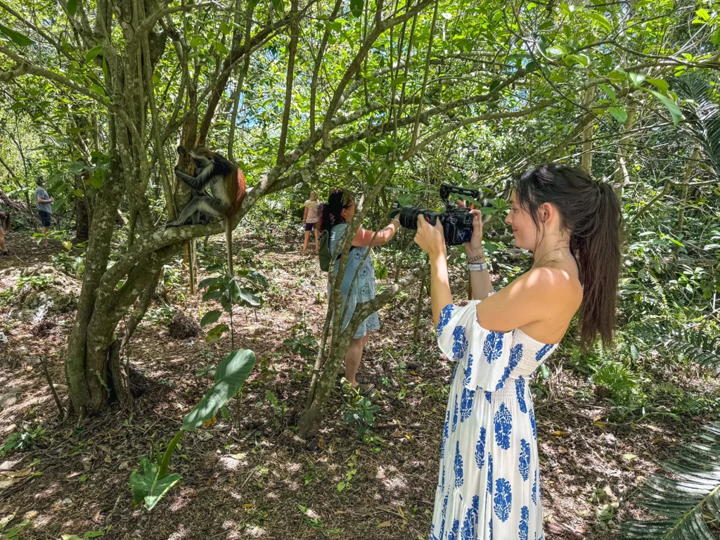 Ella McKendrick photographing a Zanzibar red colobus monkey in Jozani Forest, Zanzibar