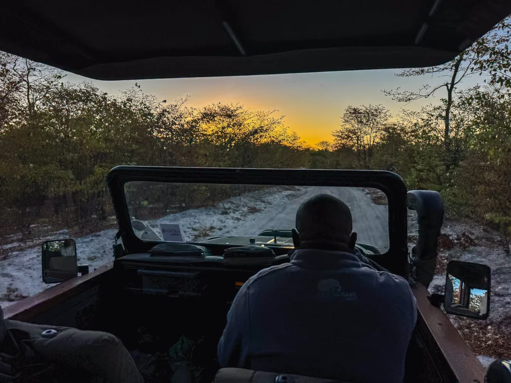 Driver guide at sunset in Moremi, Botswana