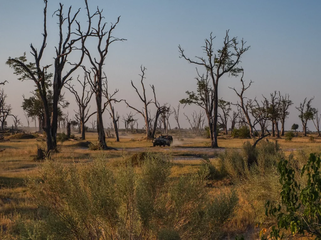 Safari vehicle driving through Moremi Game Reserve, Botswana