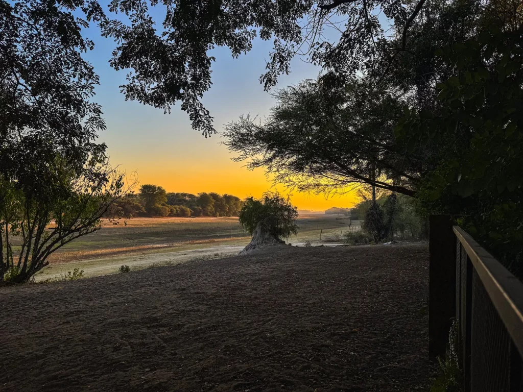 The Thamalakane River which splits Maun. Botswana was dry in this picture as the rains were late