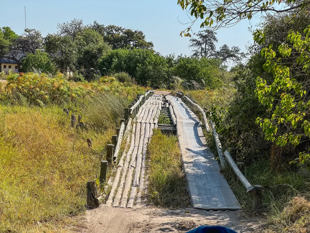 Bridge, Moremi Game Reserve, Botswana