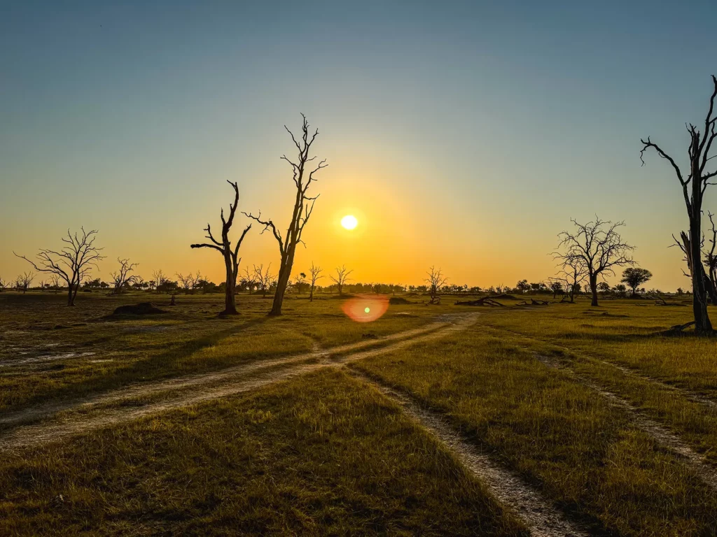 Sunset in Moremi, Botswana