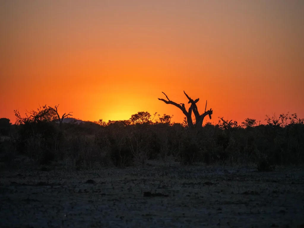 Sunset in Savuti, Chobe National Park, Botswana