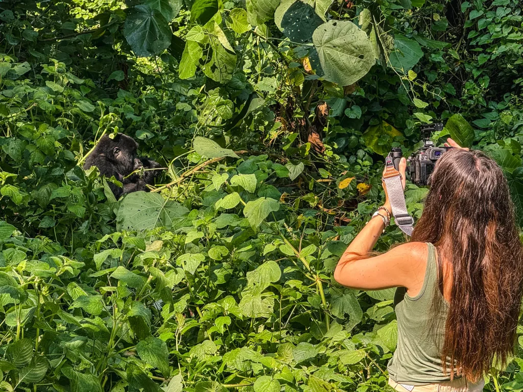 Ella McKendrick photographing gorillas at Bwindi Impenetrable Forest, Uganda