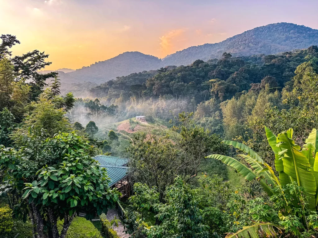 Views of my villa at Rushaga Gorilla Lodge, Bwindi Impenetrable Forest, Uganda