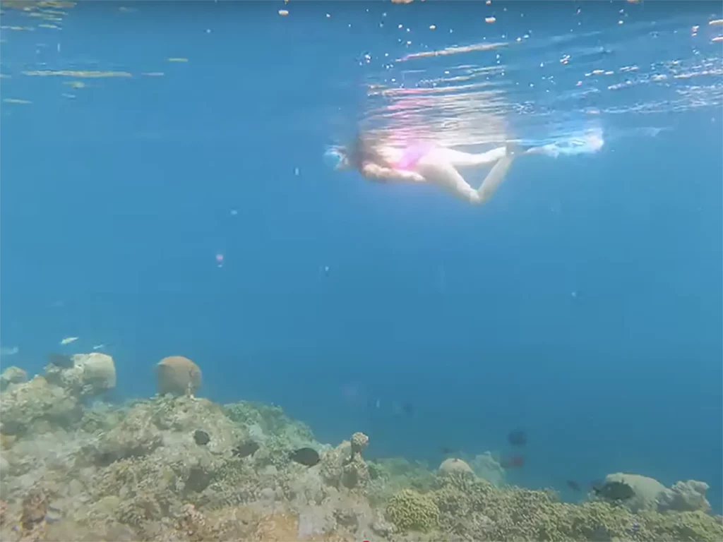 Ella McKendrick snorkelling over a reef