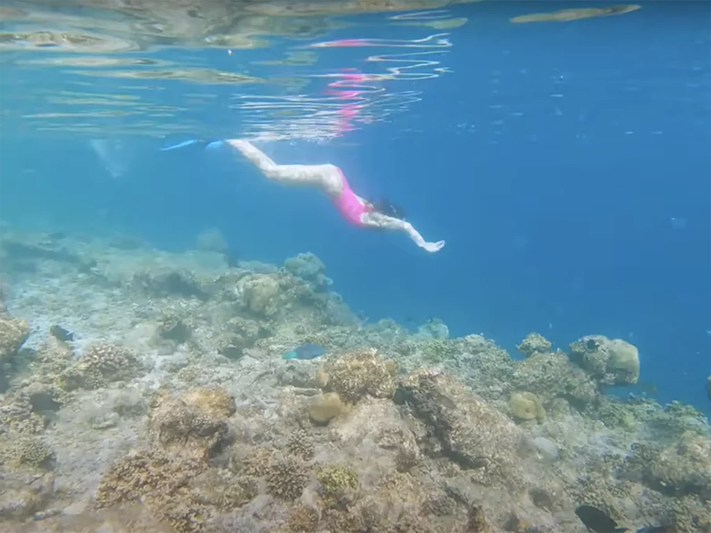 Ella McKendrick snorkelling over a reef