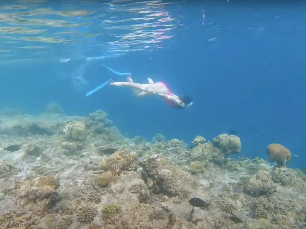 Ella McKendrick snorkelling over a reef