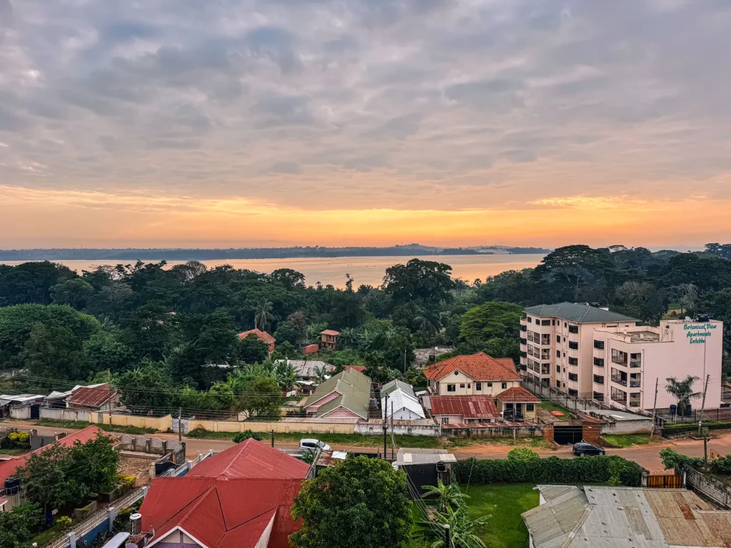 View of Entebbe Botanical Gardens from my hotel in Entebbe with Lake Victoria in the distance, Uganda