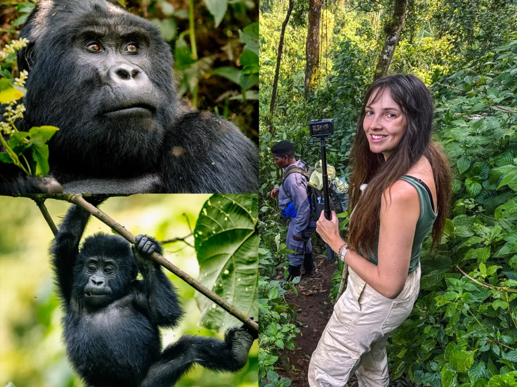 Ella McKendrick, Gorilla tracking in Bwindi Impenetrable Forest, Uganda