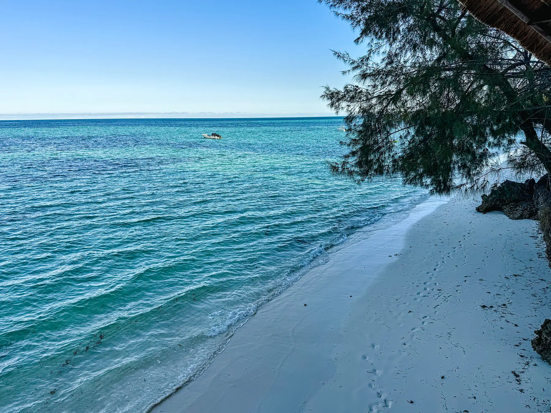 Pongwe beach, northeast Zanzibar