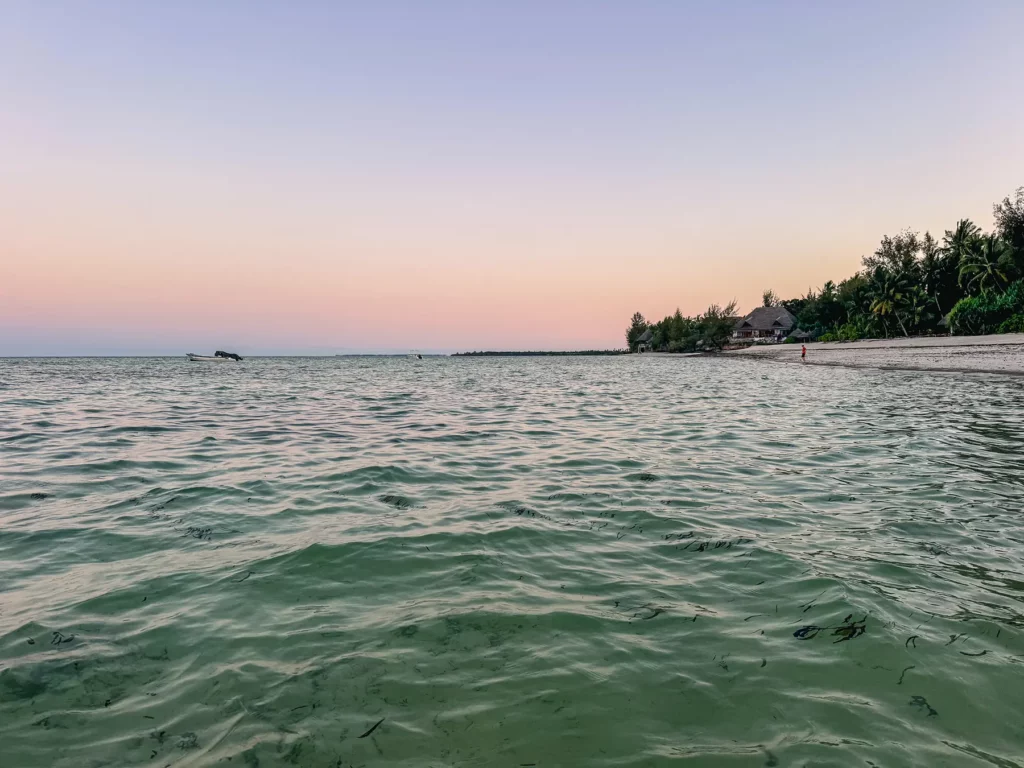 Pongwe beach, northeast Zanzibar