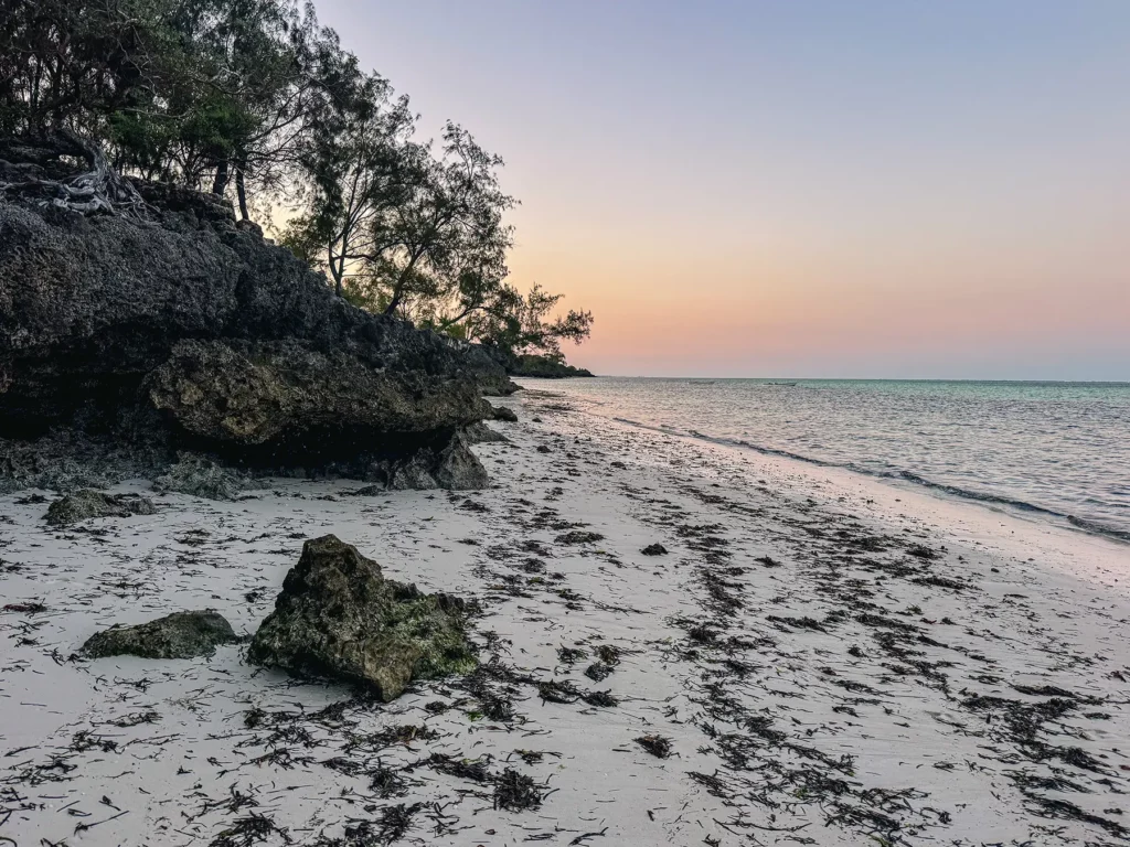 Pongwe beach, northeast Zanzibar