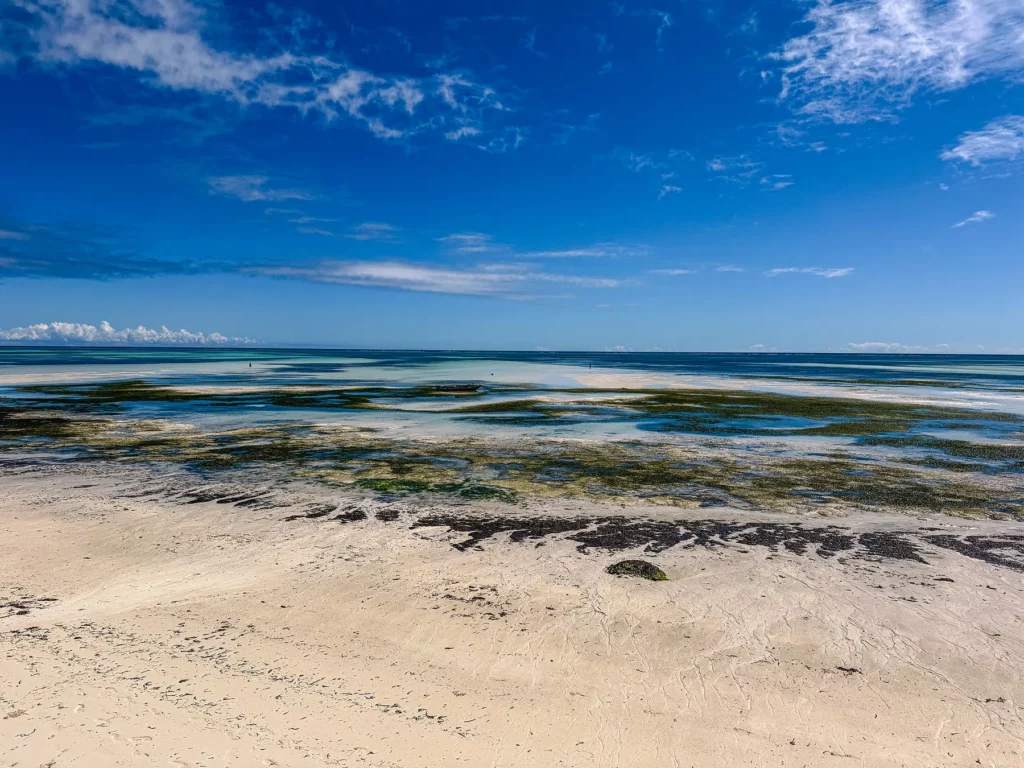 Pongwe beach, northeast Zanzibar