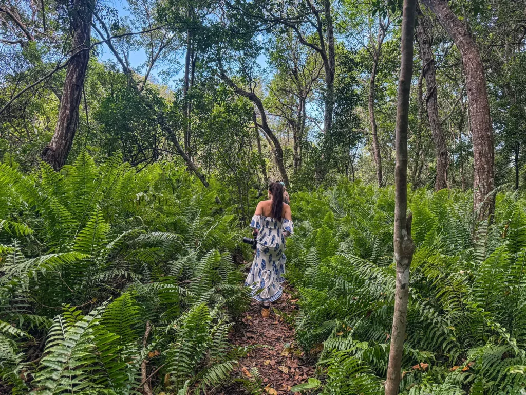 Ella McKendrick in Jozani Forest, Zanzibar