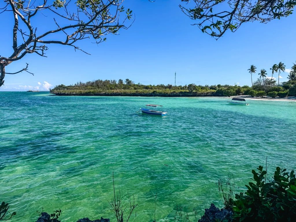 Near Pemba Island, Zanzibar