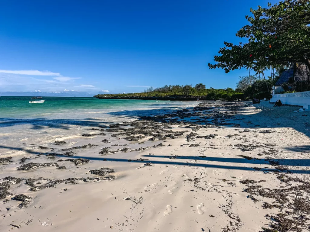 Michamvi Pingwe Beach, on the southeastern coast of Zanzibar