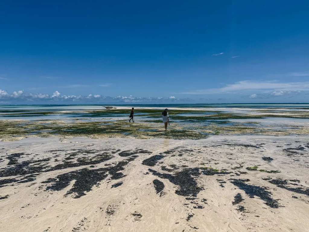 Ella McKendrick exploring Pongwe beach, Zanzibar