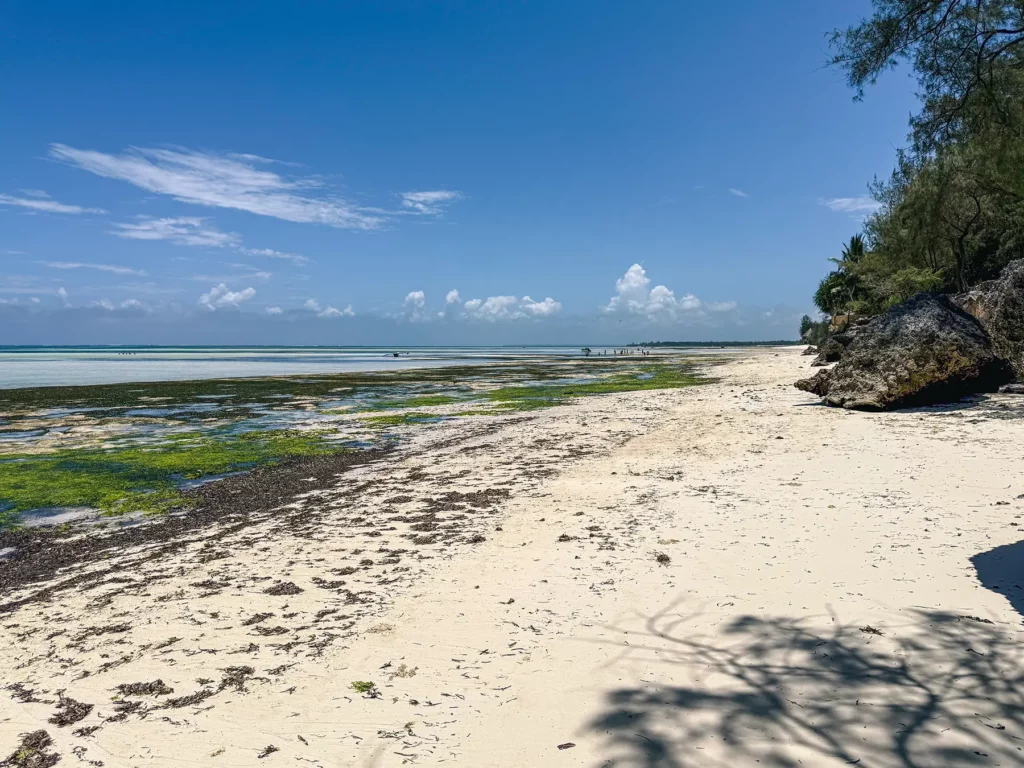Pongwe Beach, Zanzibar