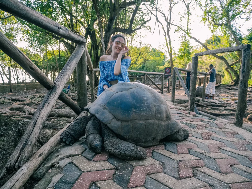 Ella McKendrick with a Giant Tortoise, Prison Island, Zanzibar