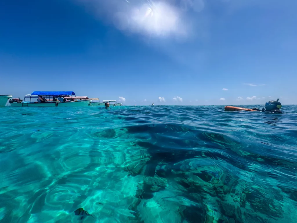 Snorkelling with the fishes at Mnemba Marine Park, Zanzibar