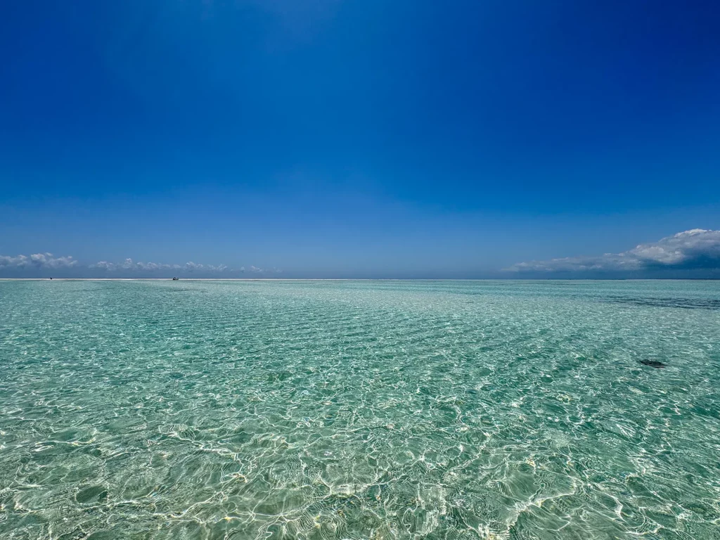 Mnemba Marine Park, Zanzibar