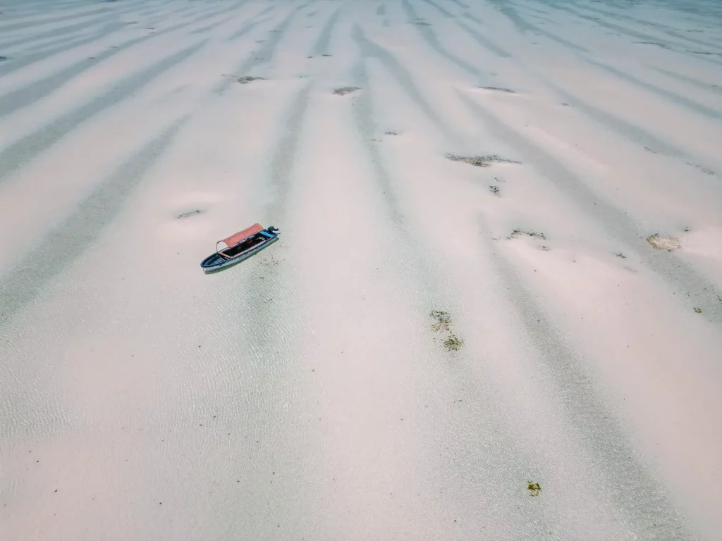 Ella McKendrick on a boat excursion in Mnemba Marine Park, Zanzibar