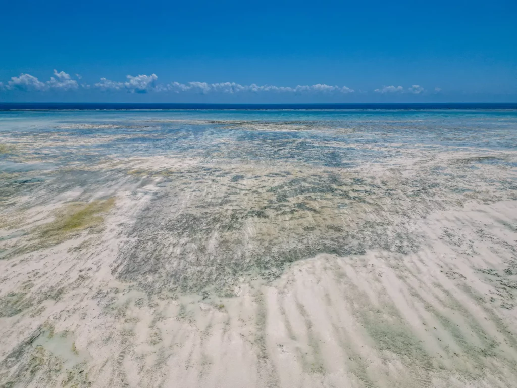 Crystal clear waters of Zanzibar