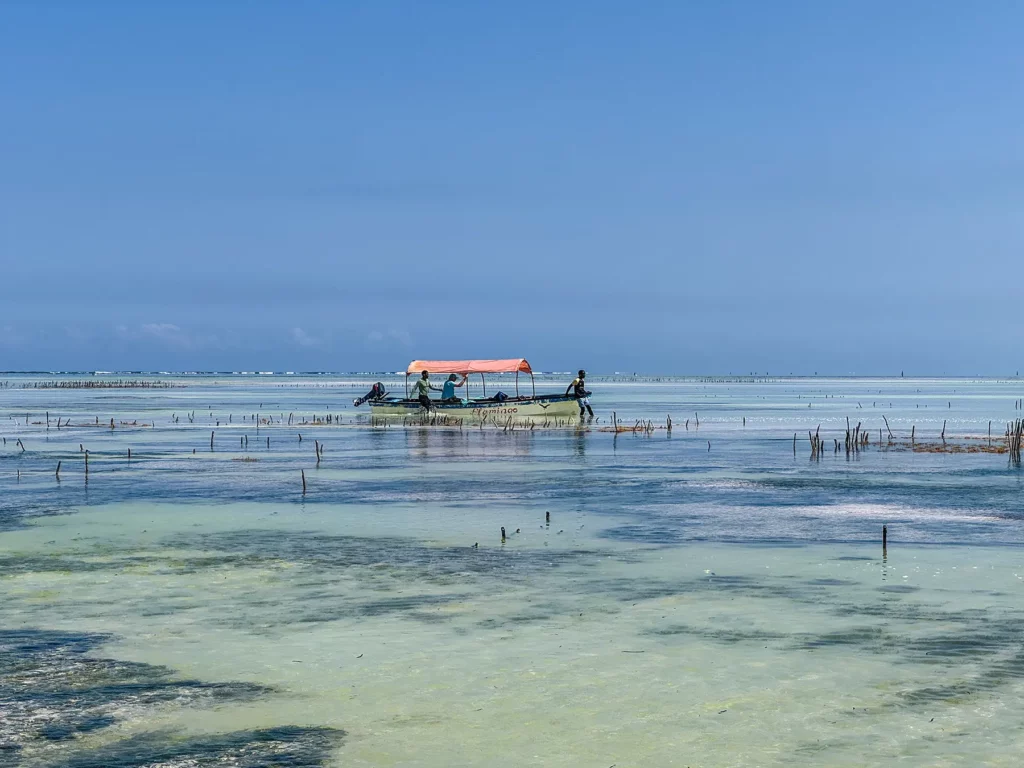 Excursion boat near Matemwe Beach, Zanzibar