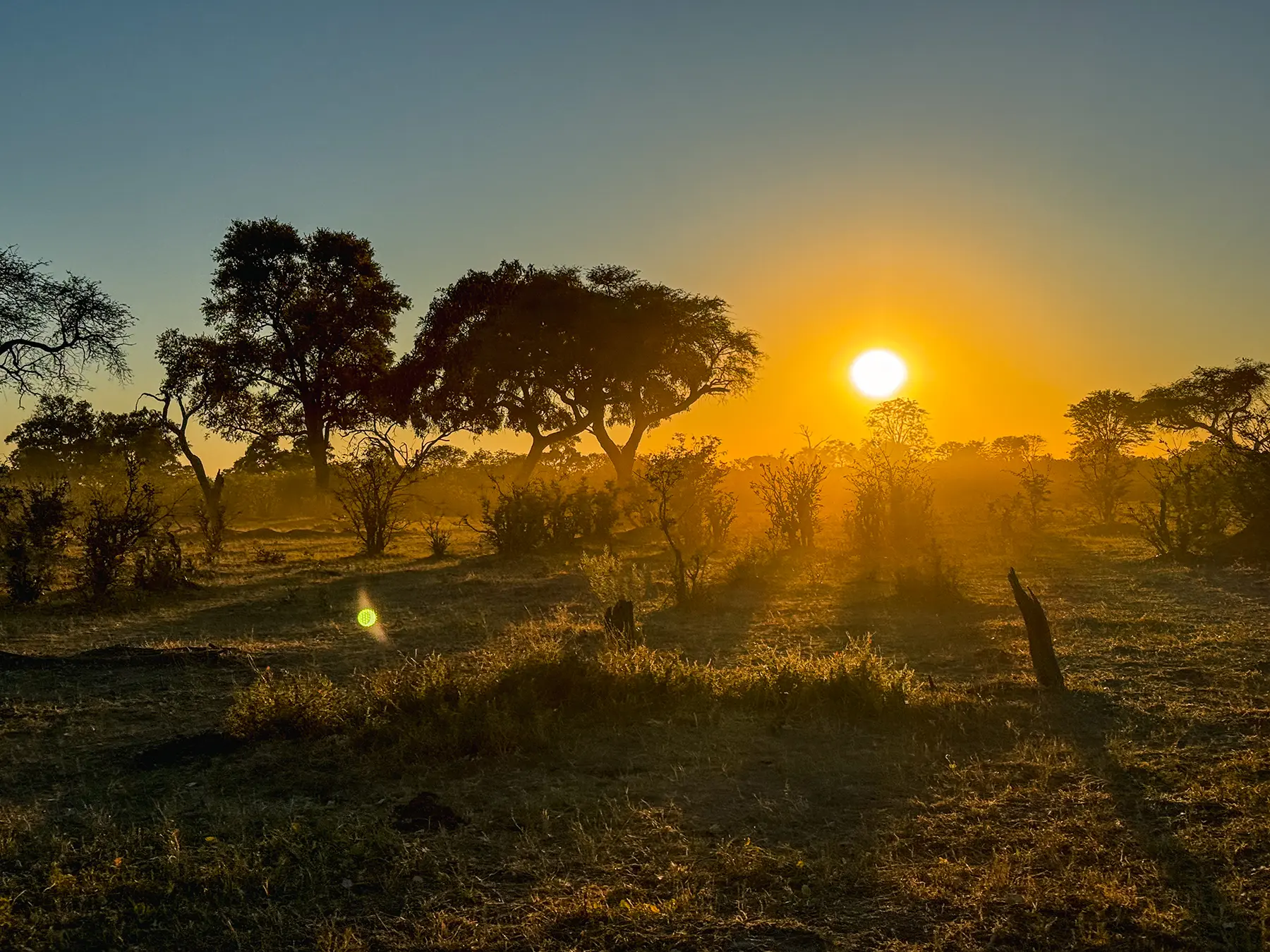 Beautiful sunrise in Khwai Conservation Area, Okavango Delta, Botswana