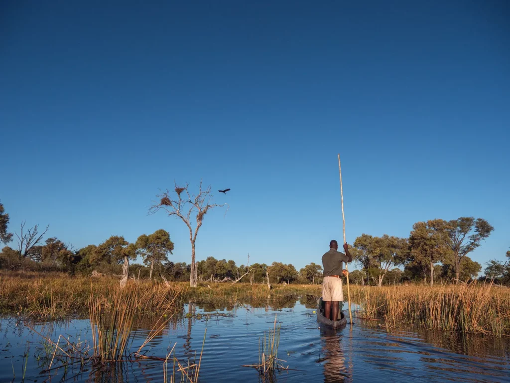 Mokoro (traditional canoe) safari in Khwai Conservation Area, Okavango Delta, Botswana