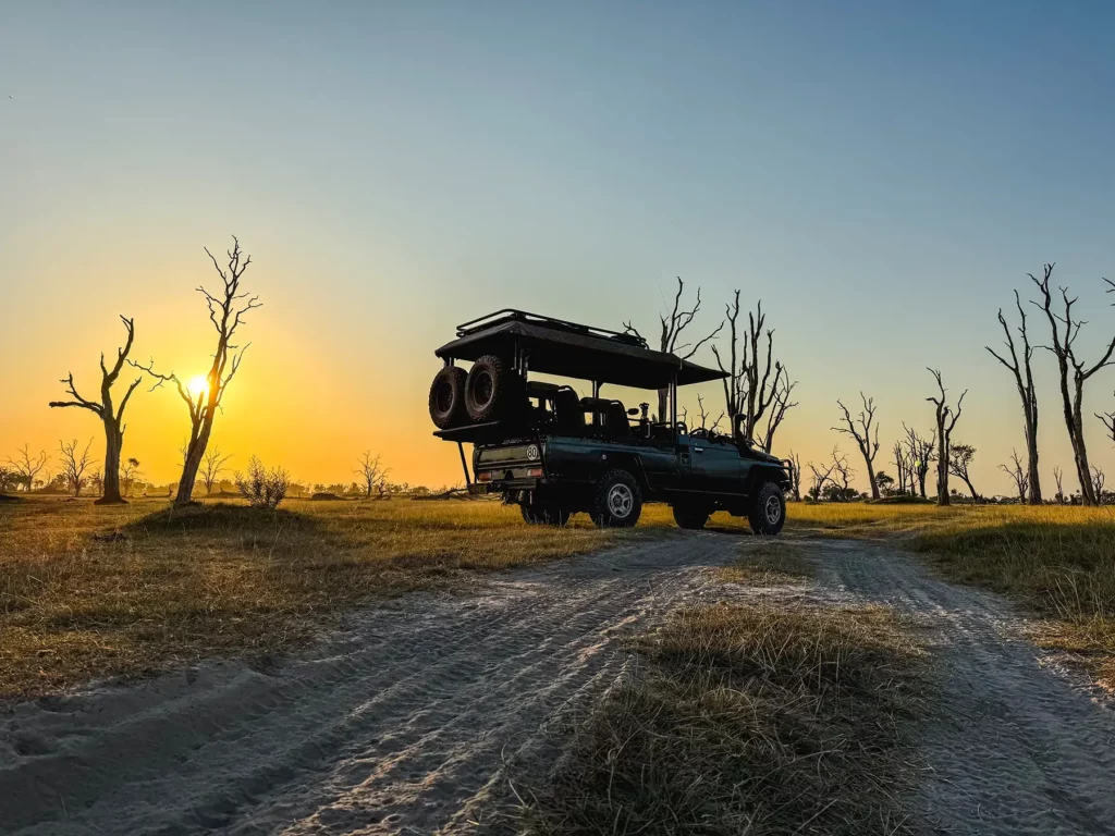 Dead forest in in Moremi Game Reserve, Okavango Delta, Botswana